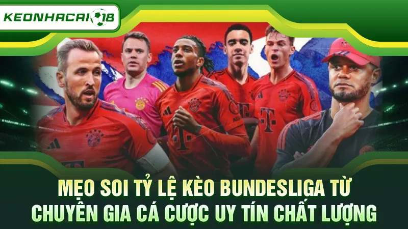 Mẹo soi tỷ lệ kèo Bundesliga từ chuyên gia cá cược uy tín chất lượng